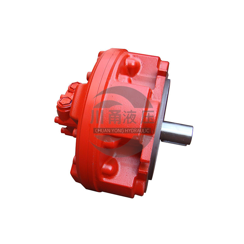 CM6 type swing cylinder motor